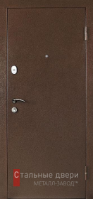 Входные двери с порошковым напылением в Голицино «Двери с порошком»